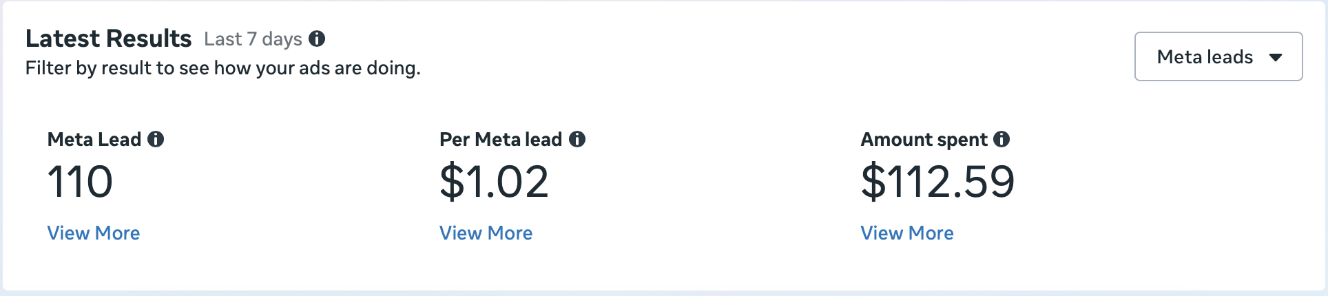 Campaign Results